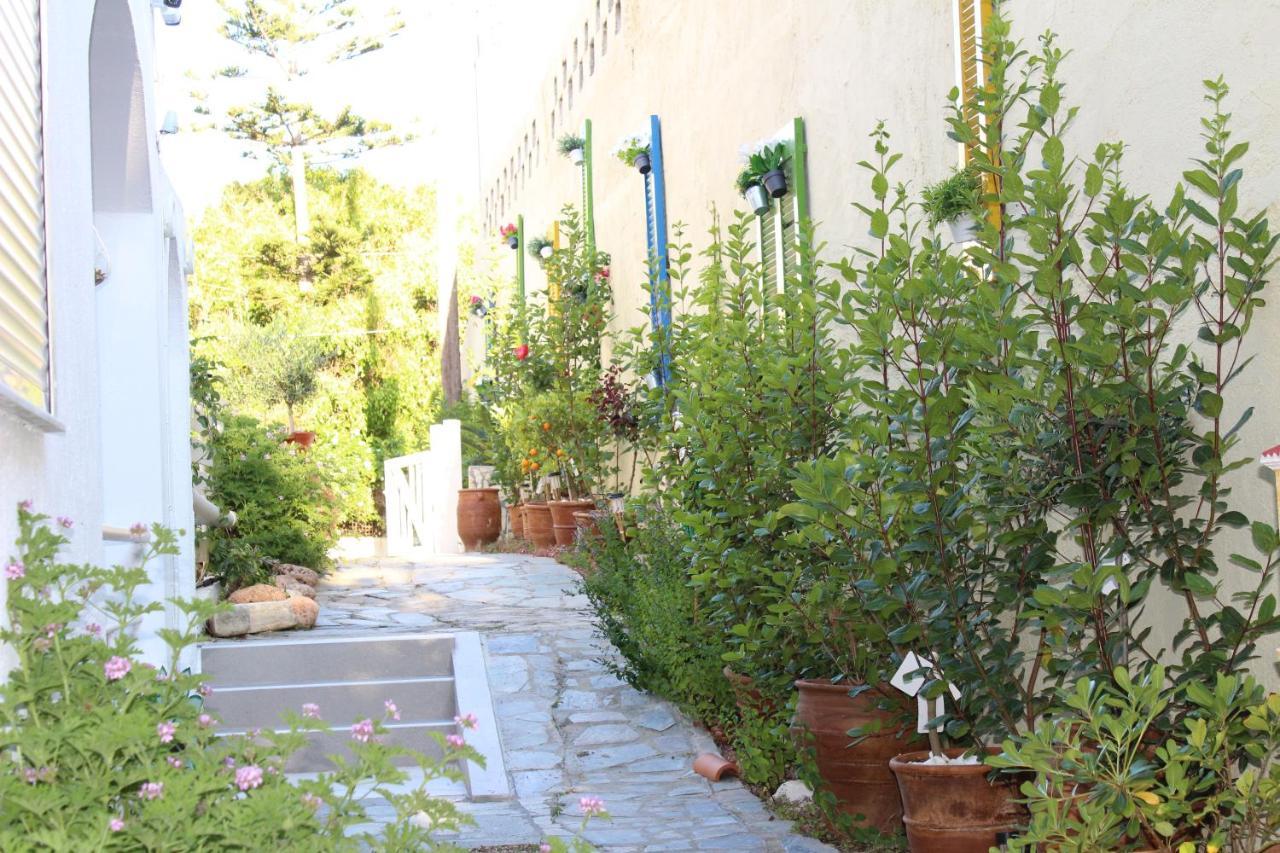 Carolina Apartments Crete アギア・ペラギア エクステリア 写真