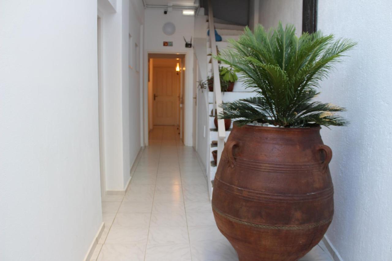 Carolina Apartments Crete アギア・ペラギア エクステリア 写真