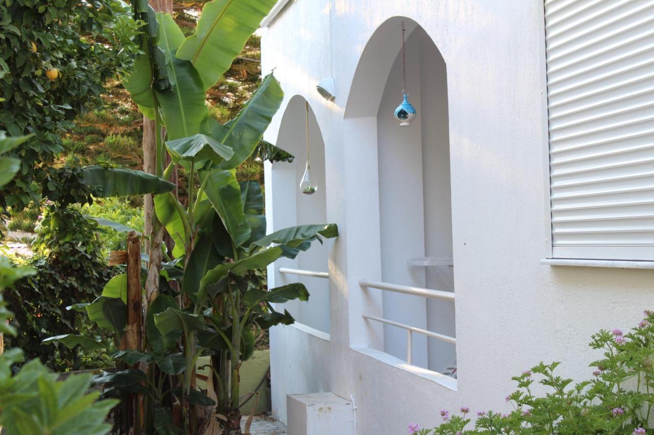 Carolina Apartments Crete アギア・ペラギア エクステリア 写真